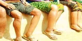 अन्तिम पटक हात्तिपाईलेको औषधी ख्वाइँदै