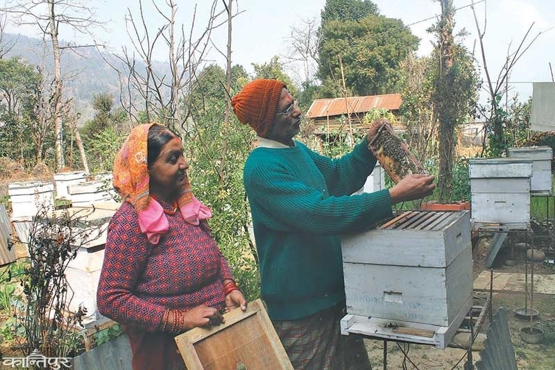 अवकाश पछि माहुरीपालन