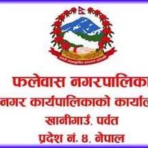 एकिकृत सम्पत्ती करको तथ्याङक संकलनमा समस्या