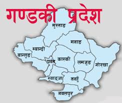 गण्डकी प्रदेशमा थप ३ जनामा कोरोना संक्रमणको पुष्टि, संक्रमितको संख्या १ हजार ९१