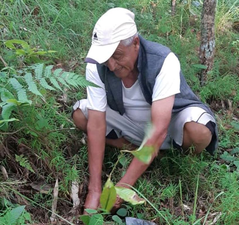 पर्वतको पिपलटारीमा साढे ८ सय भन्दा बढि विरुवा रोपियो