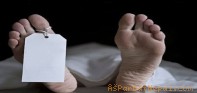 पर्वतमा रुखबाट लडेर एकको मृत्यु