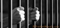 अपांग बालिकालाई बलात्कार गरि गर्भवती बनाएको आरोपमा ९, १२ र १४ वर्षका बालक पक्राउ