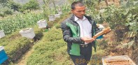 मौरीपालनमा रमाउँदै बाच्छाका उत्तम परियार