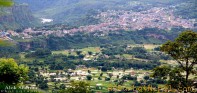 पर्वत–कटुवाचौपारीको एक चिनारी